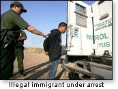 Illegal Alien Under Arrest