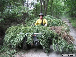 Indiana-pot-farm-crop