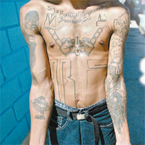 MS-15 Gang Member Tattoos Photo
