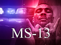 MS-13 Gang Members Rounded Up