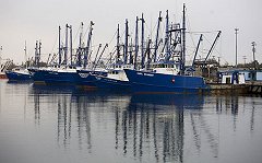 Peabody Corp boats