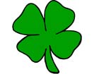 Shamrock