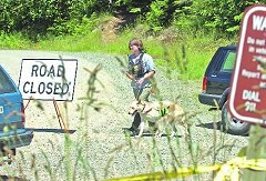 Tiger Mountain Washington Search Dog